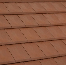 ALPHA 10 Natural Red