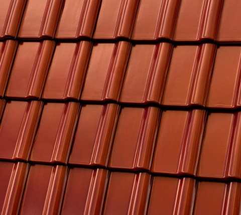 Piemont Kasztanowa angoba szlachetna