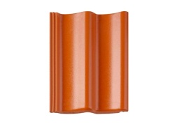 Bałtycka Ceglana Cisar