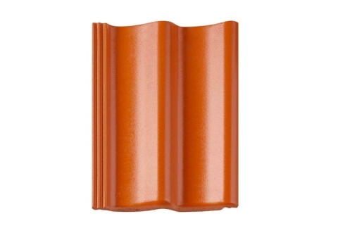 Bałtycka Ceglana Cisar